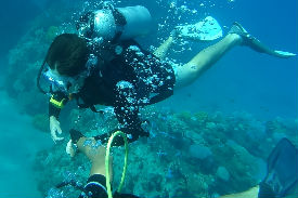 צלילות היכרות וחוויה בצפון