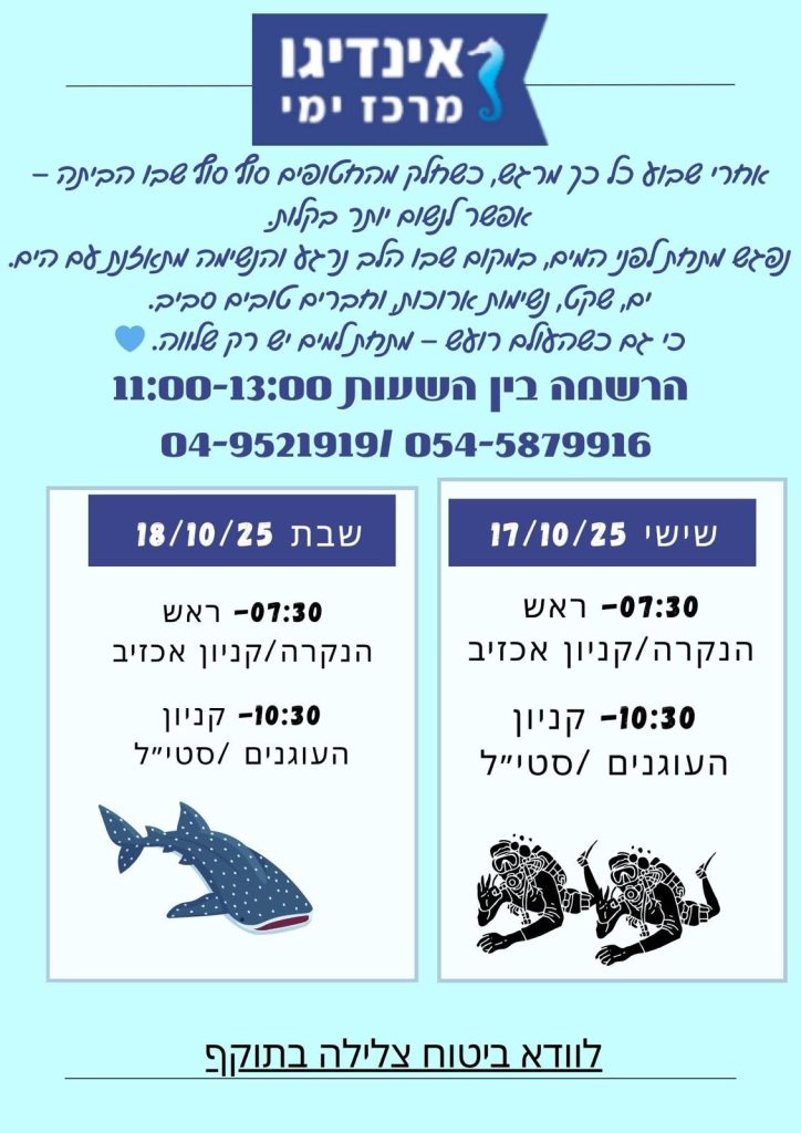 WhatsApp Image 2025 10 16 at 16.16.02 1